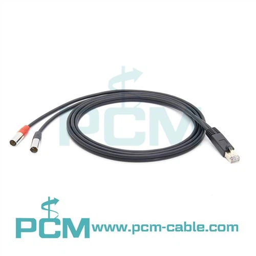 RJ45 Txiv neej Rau Dual Mini XLR Txiv neej Cable